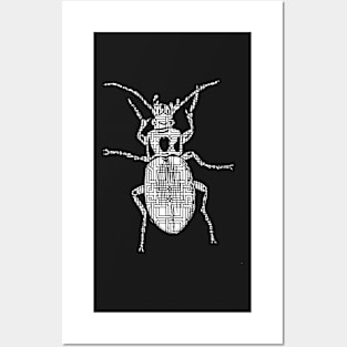 Beetle Bug Pattern Posters and Art